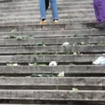 Roma, frutta e verdura contro il Parlamento: la protesta di Ultima Generazione