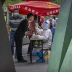 Cina, scoperto nuovo coronavirus trasmissibile all’uomo dai pipistrelli