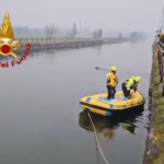 Milano, il salvataggio del lupo bloccato nel Naviglio Grande