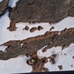 Montagna, il salvataggio di un’escursionista bloccata su Monte Poggio Croce