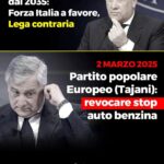 Bufera su Vannacci, pubblica un post contro FI poi lo rimuove