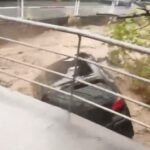 Alluvione Gran Canaria, auto trascinate dalla corrente