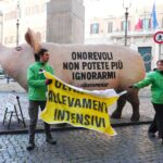 Un maiale gigante in cartapesta contro gli allevamenti intensivi a Montecitorio