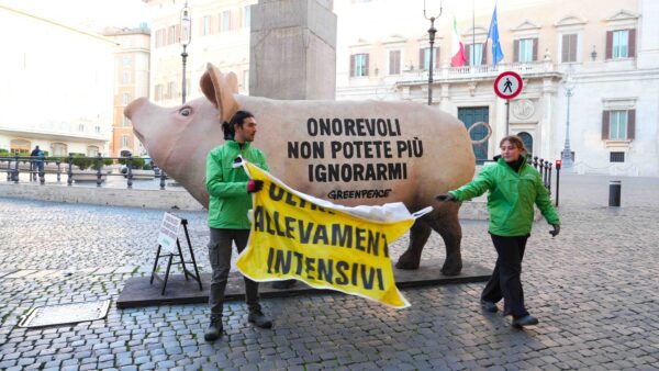 Un maiale gigante in cartapesta contro gli allevamenti intensivi a Montecitorio