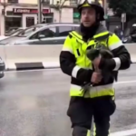 Madrid, i vigili del fuoco salvano un cucciolo di pavone