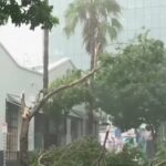 Australia, ciclone tropicale si abbatte sulla costa: almeno un morto