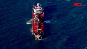 Mare del Nord, litri di petrolio si riversano in acqua dopo scontro navi: le immagini dall’alto