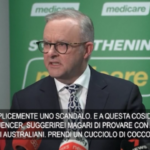 Influencer sottrae wombat a madre, il premier australiano: “Provi a prendere un cucciolo di coccodrillo”