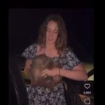 Australia, bufera su influencer Usa che sottrae cucciolo di wombat alla madre per un video social