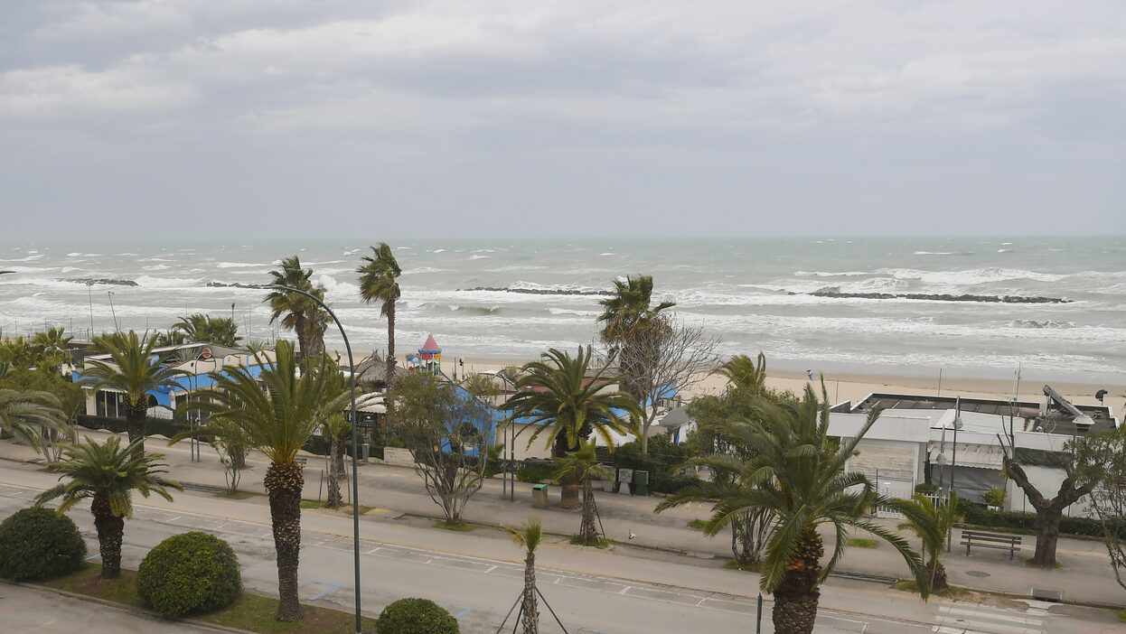 Ascoli Piceno, 24enne ucciso a colpi di machete a San Benedetto del Tronto