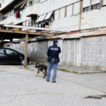 Roma, spari in strada a Tor Bella Monaca: ferito 28enne