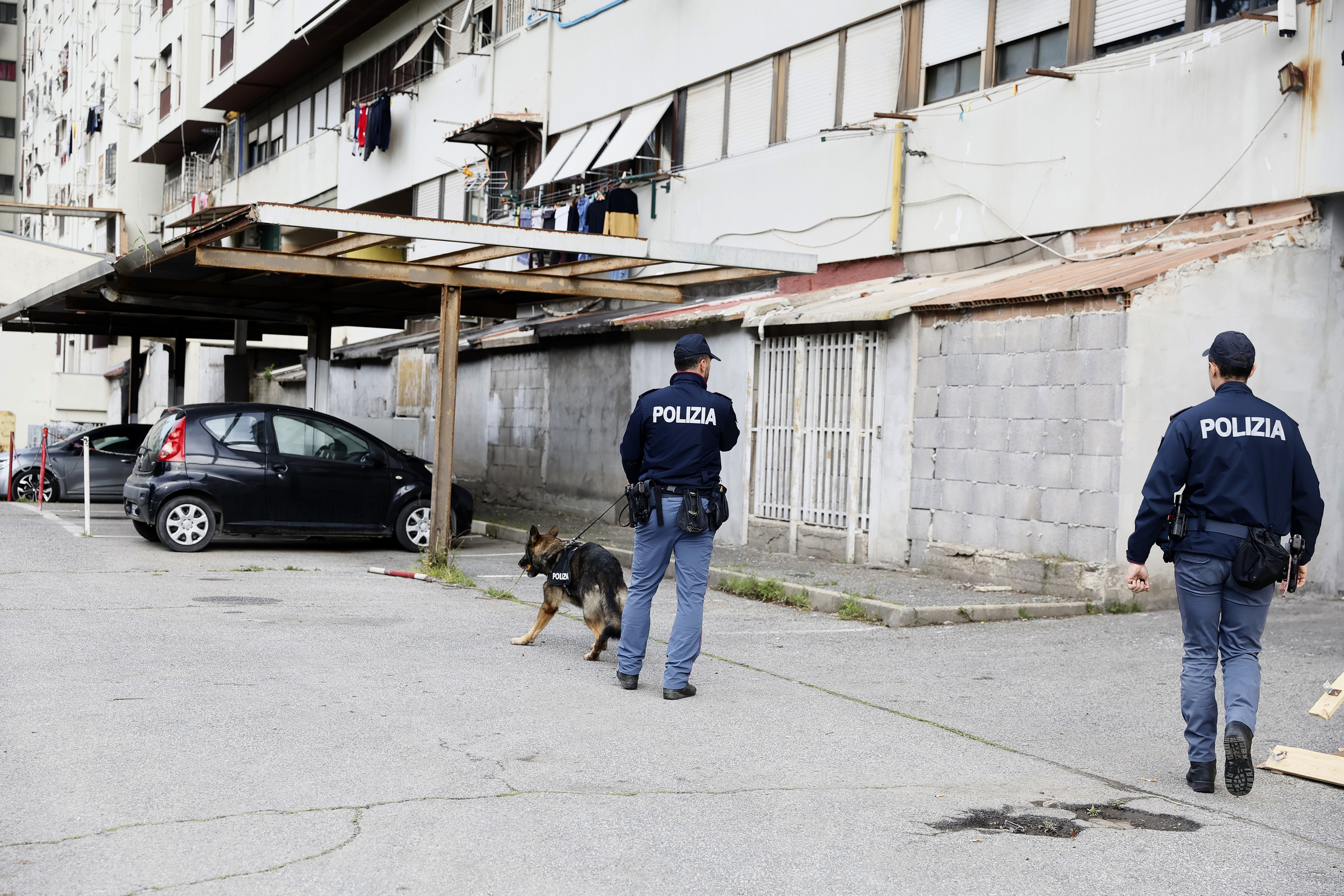 Roma, spari in strada a Tor Bella Monaca: ferito 28enne