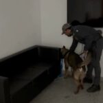 Crotone, hashish e marijuana in una villetta abbandonata