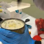 Firenze, 10 chili di cocaina liquida nel bagaglio: arrestato