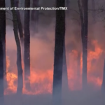 Usa, vasto incendio nei boschi del New Jersey