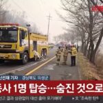 Incendi in Corea del Sud: precipita un elicottero dei soccorsi
