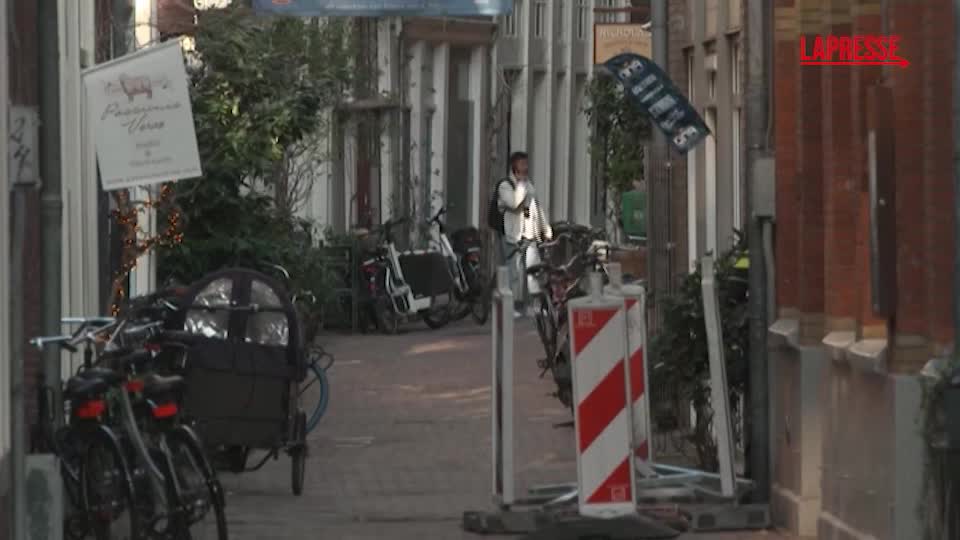 cade zona boscata ad