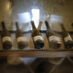 Vino, le proposte Ue su etichette: qr code e alcool free