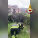 Maltempo a Messina, allagamenti e alberi caduti: evacuate diverse famiglie