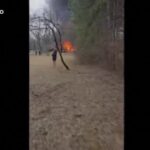 Usa, piccolo aereo si schianta su casa vicino Minneapolis: un morto