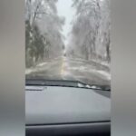 Canada, tempesta di ghiaccio in Ontario: alberi come stalattiti