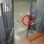 Milano, maxi blitz della polizia contro le rapine in strada: i violenti assalti ripresi dalle videocamere di sorveglianza