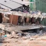 Myanmar, i cani da soccorso russi alla ricerca dei sopravvissuti al terremoto