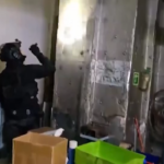 Corea del Sud, sequestrate 2 tonnellate di cocaina al porto di Okgye