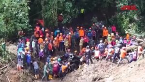 Frana in Indonesia, strade coperte di fango e alberi sradicati