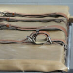 Pena di morte, Amnesty: “1500 esecuzioni nel 2024, il dato più alto dal 2015”