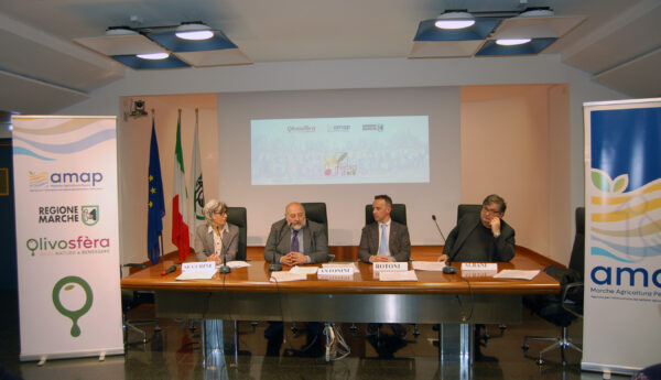 Marche, presentato il progetto Olivosfera