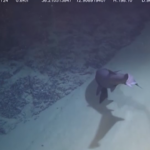 Uno squalo nuota a 1000 metri tra le montagne inesplorate del Mar Mediterraneo
