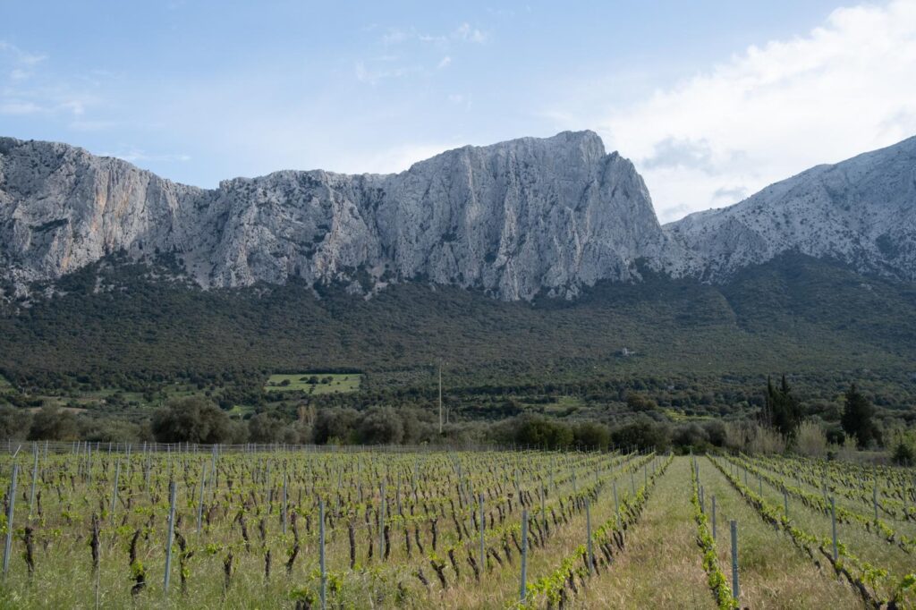 Galleria foto 'Alpinista iraniana Nasim Eshqi apre nuovo percorso contro spose bambine' - foto 9