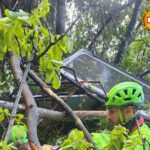 Monte Faito, incidente funivia: 4 morti, ferito in condizioni critiche ma stabili