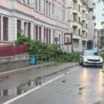 Maltempo, vento forte a Milano: albero cade su ingresso scuola elementare