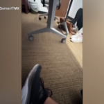 Usa, Florida State: panico tra gli studenti dopo la sparatoria