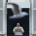 Papa Francesco, il ricordo della Treccani: “Il Pontefice del coraggio e della misericordia”
