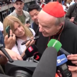 Papa Francesco, cardinal Schönborn: “L’ho visto stendere le mani su Trump e Zelensky”