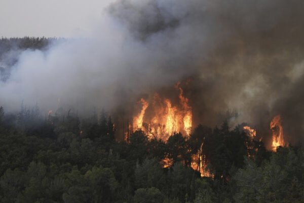 Incendio in una foresta vicino a Gerusalemme