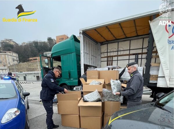 Ancona, sequestrati al porto 161 chilogrammi di marijuana e 2 chilogrammi di metanfetamine