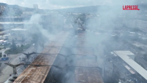 georgia fire