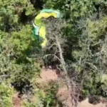 Genova, in parapendio si impiglia tra gli alberi: il salvataggio dei vigili del fuoco