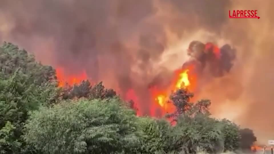 Incendi a Gerusalemme, oltre 150 squadre di vigili del fuoco al lavoro Incendi a Gerusalemme, oltre 150 squadre di vigili del fuoco al lavoro