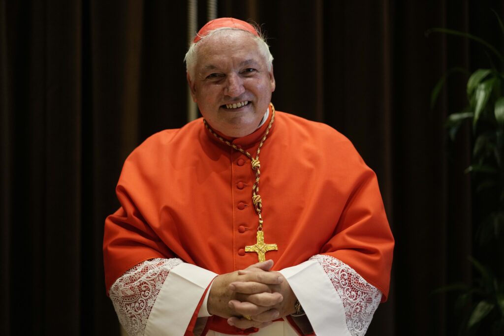 Chi è Aveline: il cardinale che potrebbe succedere a Papa Francesco Chi è Aveline: il cardinale che potrebbe succedere a Papa Francesco