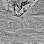 Siria, oltre 20 raid di Israele su tutto il Paese. Hamas pubblica nuovo video di ostaggio
