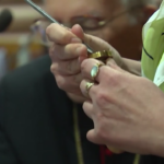 Vaticano, annullati anello del pescatore e sigillo di Papa Francesco