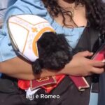 Conclave 2025, in Piazza San Pietro spunta Romeo: il cane vestito da Papa