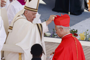 Papa Francesco e il Cardinale Robert Prevost