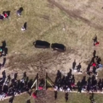 Bosnia, il toro scappa dall’arena: panico tra gli spettatori