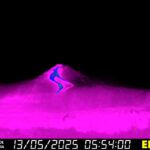 Eruzione dal Cratere Sud-Est dell’Etna, ceneri anche a Zafferana Etnea